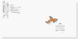 Kuvert DIN lang Toulouse DIN lang orange