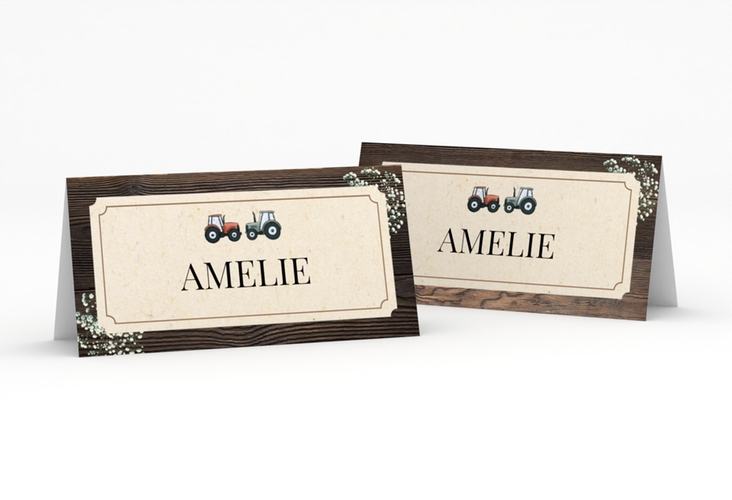 Tischkarte Hochzeit Bauernhochzeit Tischkarten in rustikaler Holz-Optik mit Schleierkraut und zwei kleinen Traktoren