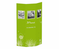 Klick: Details zu Menù matrimonio collezione Murcia anzeigen Menù matrimonio collezione Murcia DIN A4 Wickelfalz verde