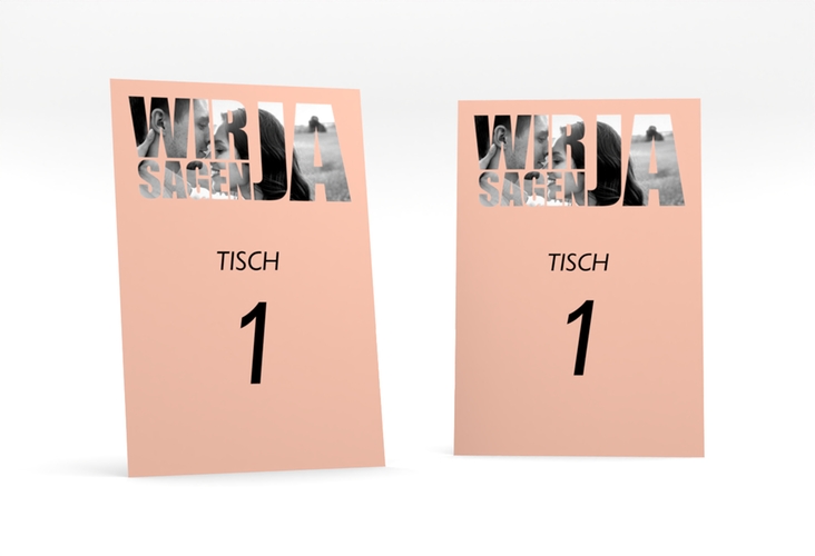 Tischnummer Hochzeit Letters Tischaufsteller apricot