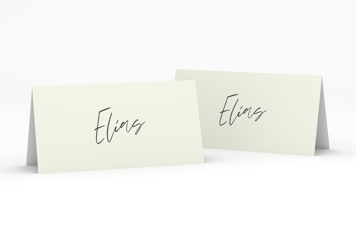 Tischkarte Hochzeit Einfachheit Tischkarten mint mit modernem Schriftzug