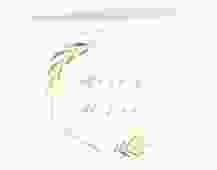 Danksagungskarte Hochzeit Eleganza A6 Klappkarte quer weiss