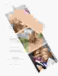Hochzeitseinladung Lebenstraum Kartentrio rosa