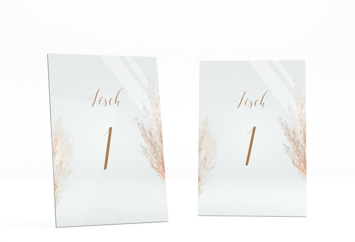 Tischnummer Acryl Hochzeit Pampasgras Tischaufsteller Acryl beige