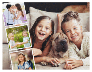 Fotopuzzle 40 Teile Entwicklung 40 Teile weiss