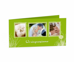 Klick: Details zu Ringraziamenti matrimonio collezione Murcia anzeigen Ringraziamenti matrimonio collezione Murcia DIN lang Klappkarte verde