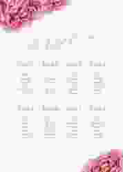 Sitzplan Poster Hochzeit Cherie 50 x 70 cm Poster rosa