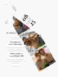 Hochzeitseinladung Seed Kartentrio weiss