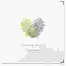 Gästebuch Selection Hochzeit Fingerprint Leinen-Hardcover gruen schlicht mit Fingerabdruck-Motiv