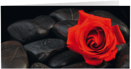 Klick: Details zu Trauerkarte "Stille" anzeigen Trauerkarte Stille lange Klappkarte quer rot mit Rosenblüte