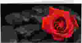Trauerkarte Stille lange Klappkarte quer rot mit Rosenblüte