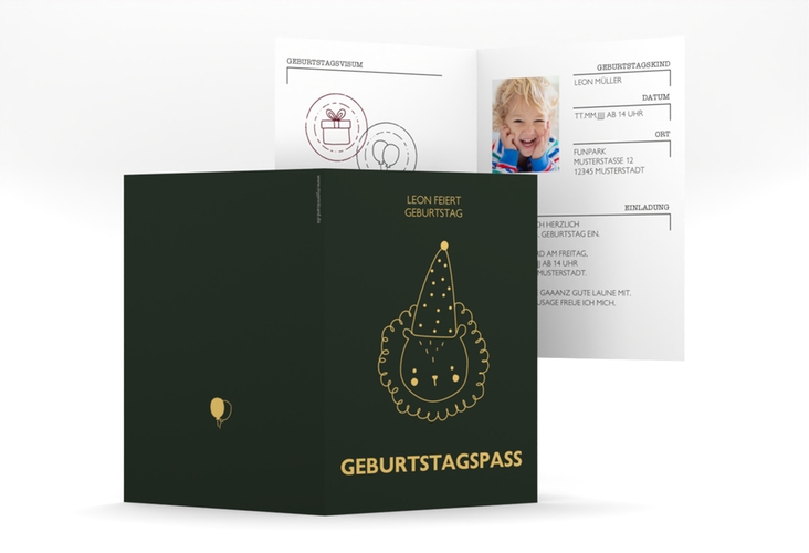 Einladungskarte Kindergeburtstag Geburtstagspass A6 Klappkarte hoch gruen