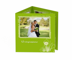 Klick: Details zu Ringraziamenti matrimonio collezione Murcia anzeigen Ringraziamenti matrimonio collezione Murcia Quadr. Karte doppelt verde