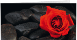 Danksagungskarte Trauer "Stille"