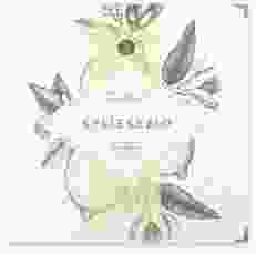 Gästebuch Selection Hochzeit "Lemon"