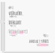 Gästebuch Hochzeit Couple Ringbindung rosa