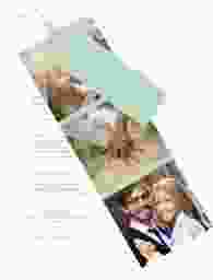 Hochzeitseinladung Lebenstraum Kartentrio mint