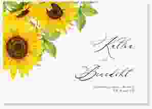 Gästebuch A4 quer Sonnenblume A4 quer, Hardcover weiss