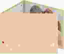 Hochzeitseinladung Weddingpass A6 Doppel-Klappkarte beige