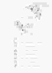Tagesablauf Poster Hochzeit Adore