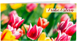Osterkarte Tulpen lange Klappkarte quer