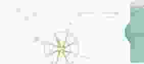 Hochzeitseinladung Windrose Einsteckkarte beige