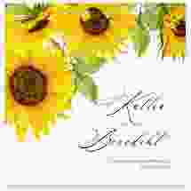 Gästebuch Creation "Sonnenblume" 20 x 20 cm, Hardcover weiss