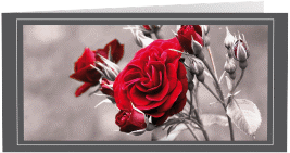 Klick: Details zu Trauerkarte "Rosenknospe" anzeigen Trauerkarte Rosenknospe lange Klappkarte quer grau
