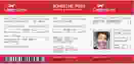 Einladung Geburtstag Boardingpass lange Karte quer rot