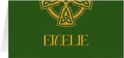 Klick: Details zu Tischkarte Hochzeit "Celtic" anzeigen Tischkarte Hochzeit Celtic Tischkarten gruen mit keltischem Knoten in irischen Farben