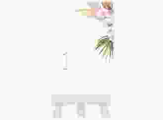 Tischnummer Hochzeit Nude Tischaufsteller weiss