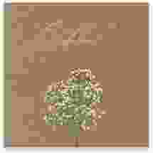 Gästebuch Creation Hochzeit "Schleierkraut"