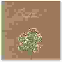 Gästebuch Creation Hochzeit "Schleierkraut"