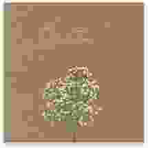 Gästebuch Creation Hochzeit "Schleierkraut"