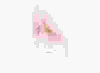 Menükarte Hochzeit Pastell lange Karte hoch rosa