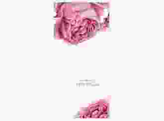 Tagesablauf Hochzeit Cherie lange Karte hoch rosa
