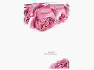 Menükarte Hochzeit Cherie A5 Klappkarte hoch rosa