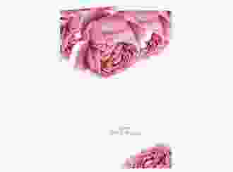 Kirchenheft Hochzeit Cherie A5 Klappkarte hoch rosa