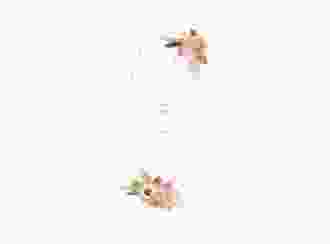 Menükarte Hochzeit Strohblume lange Karte hoch weiss