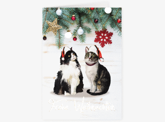 Weihnachtskarte Catmas A6 Klappkarte hoch mit lustigem Katzen-Motiv