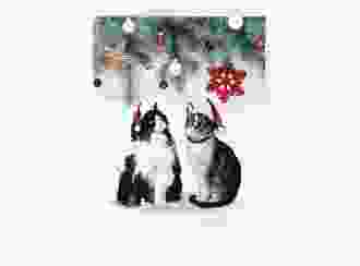 Weihnachtskarte Catmas A6 Klappkarte hoch mit lustigem Katzen-Motiv