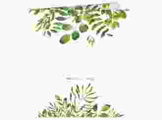 Hochzeitseinladung Botany quadr. Klappkarte beige