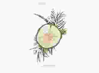 Menükarte Hochzeit Woodland A5 Klappkarte hoch weiss