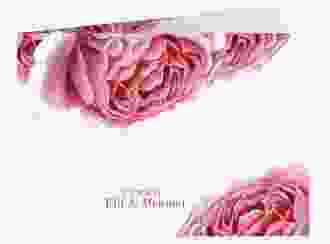 Danksagungskarte Hochzeit Cherie A6 Klappkarte quer rosa