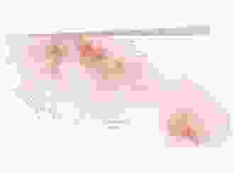 Hochzeitseinladung Pastell lange Klappkarte quer rosa
