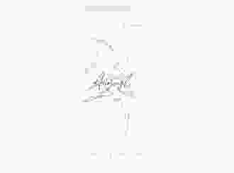 Danksagungskarte Hochzeit Seed A6 Klappkarte hoch weiss