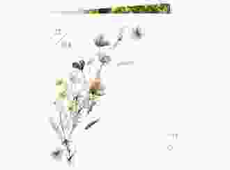 Danksagung Kommunion Blumensegen quadr. Klappkarte weiss