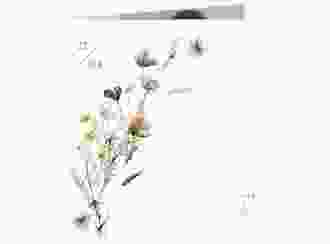 Kommunionseinladung Blumensegen quadr. Klappkarte weiss