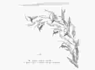 Hochzeitseinladung  Eucalyptus Green quadr. Klappkarte weiss