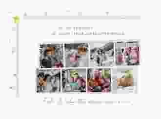 Weihnachtskarte Familienmomente A6 Karte quer weiss für Weihnachtsgrüße mit Familienfoto
